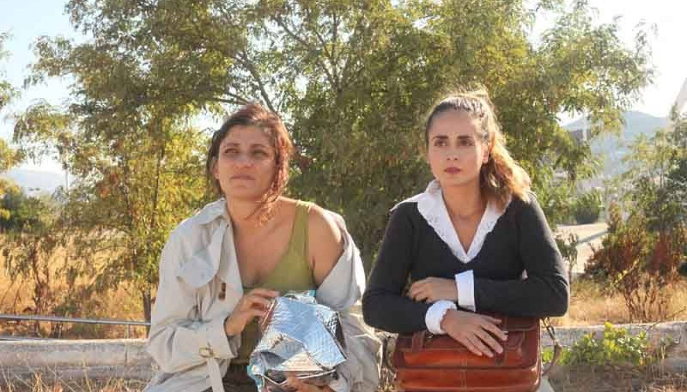 Sparrow on the Housetop